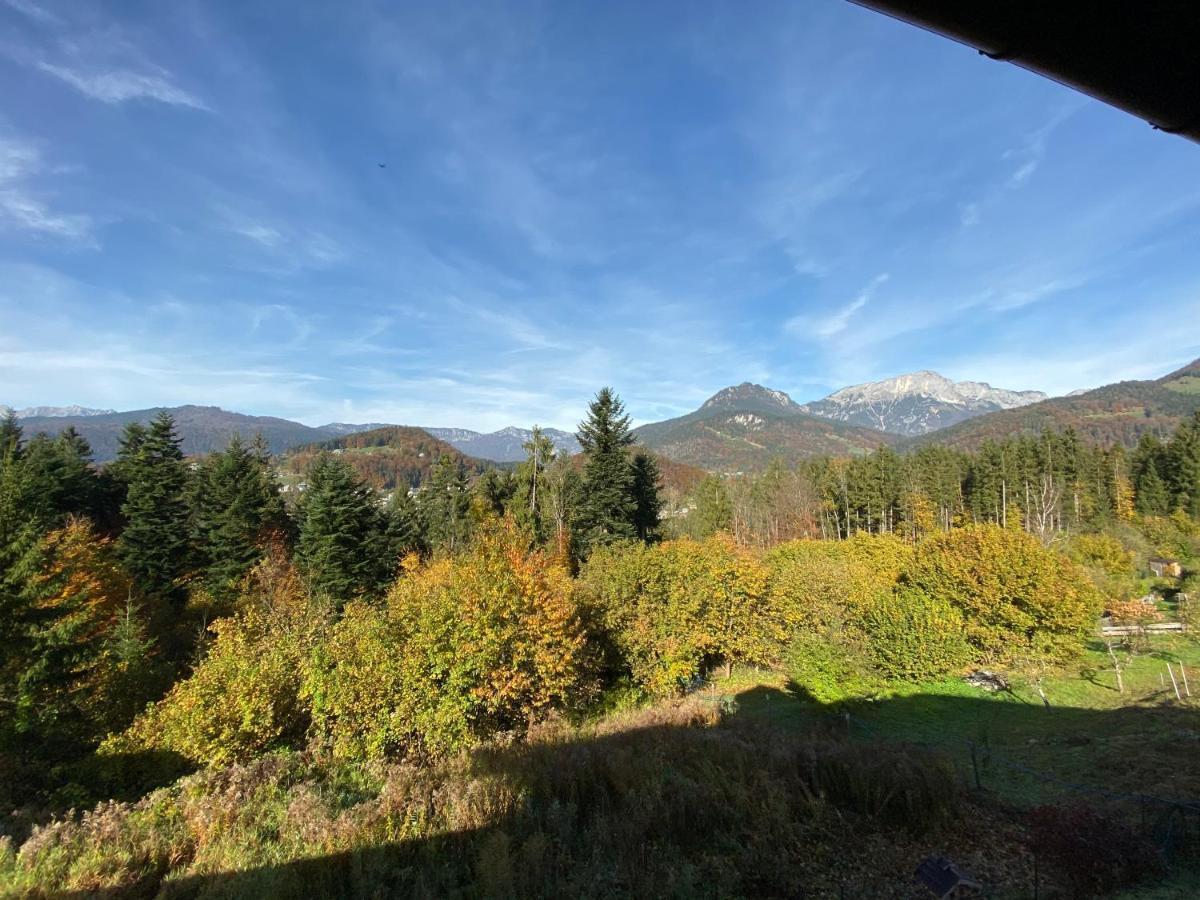 Waldkauz * Berchtesgaden